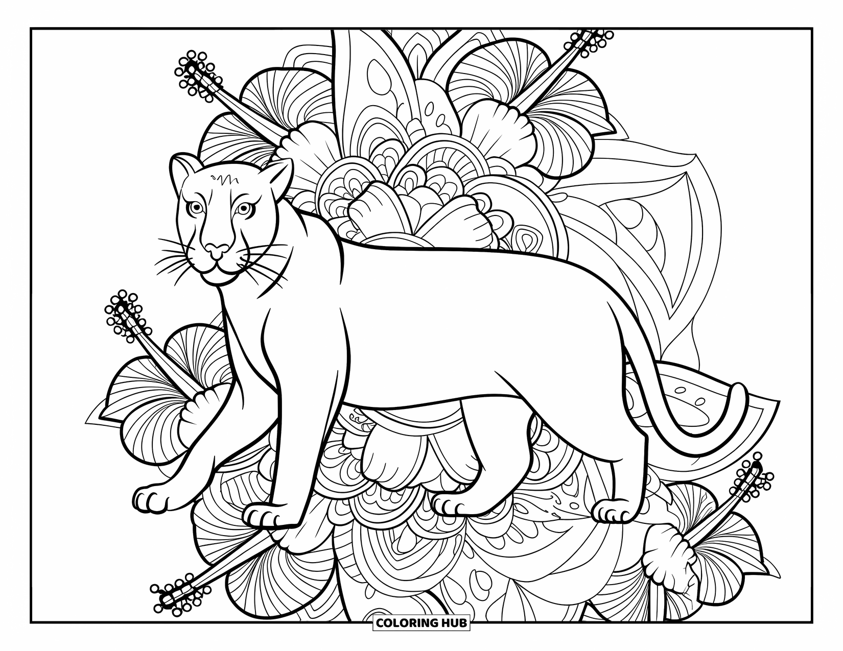 Black Panther Coloring Page for Adults: Panther among hibiscus flowers in intricate mandala pattern
