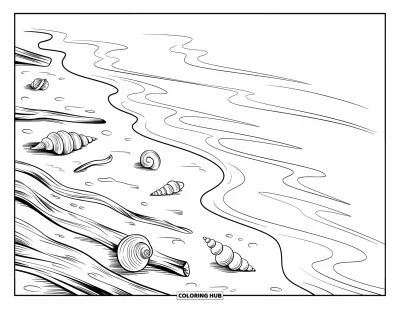 Coloriage apaisant pour adultes : Un rivage tranquille avec des coquillages épars, du bois flotté et une douce ligne de vagues