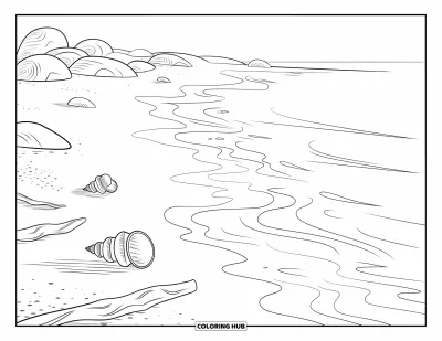 Coloriage apaisant pour adultes : Des coquillages et du bois flotté reposent sur un rivage serein avec des vagues qui effleurent à peine le sable
