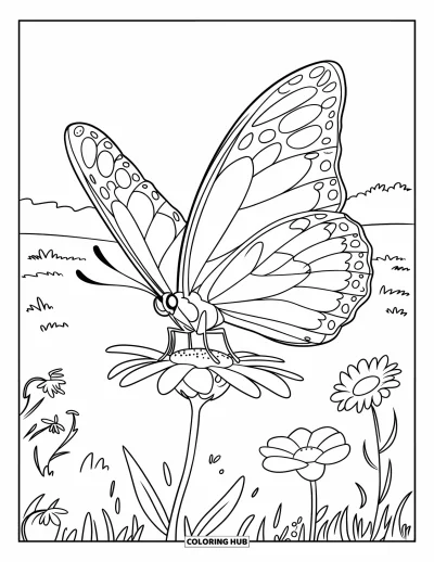Coloriage apaisant pour enfants : Un papillon se pose sur une fleur dans un vaste pré fleuri