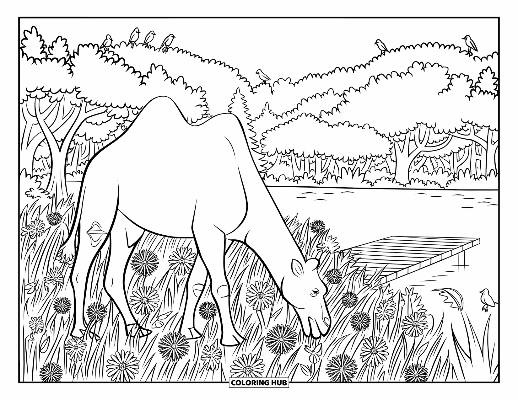 Camel Coloring Page for Adults: Camel grazing in a flower-filled field beside a lake and forest