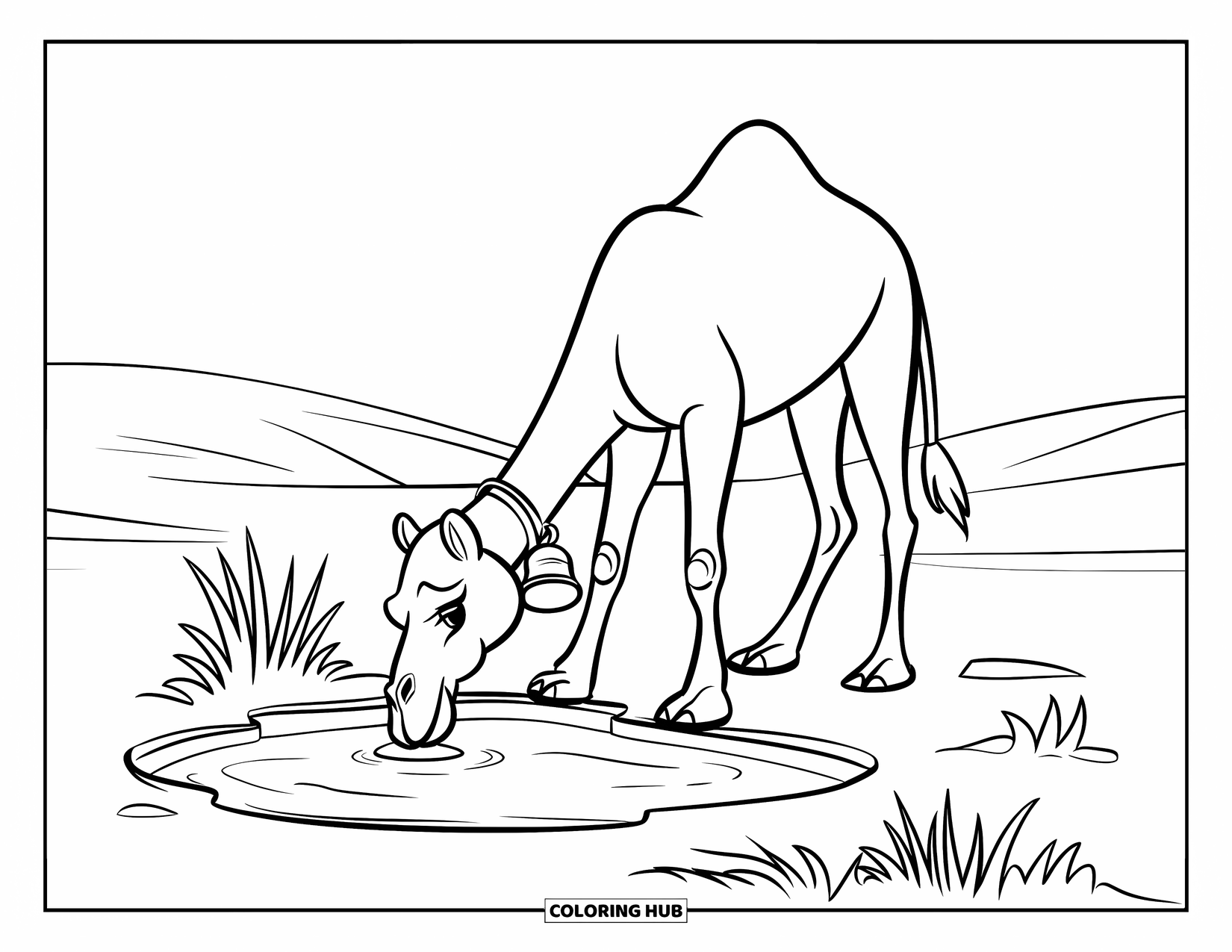 Camel Coloring Page for Kids: Camel with bell drinking from a small oasis in rolling desert hills