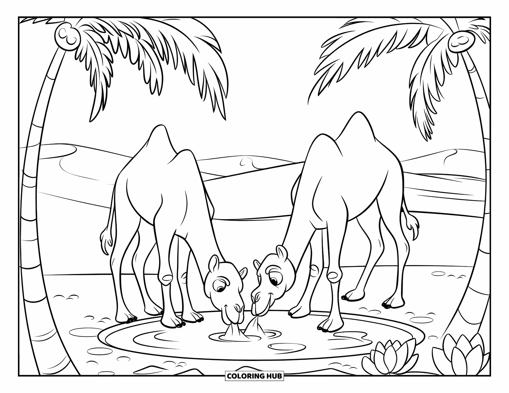 Camel Coloring Page for Kids: Two camels at a small pool with lotus flowers and rolling desert dunes