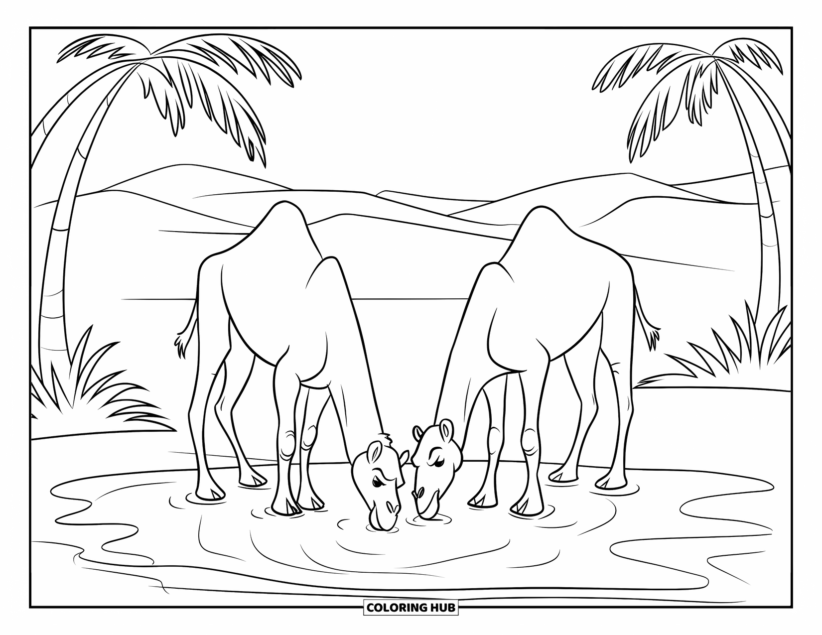 Camel Coloring Page for Kids: Two camels drinking from an oasis in a desert with sand dunes
