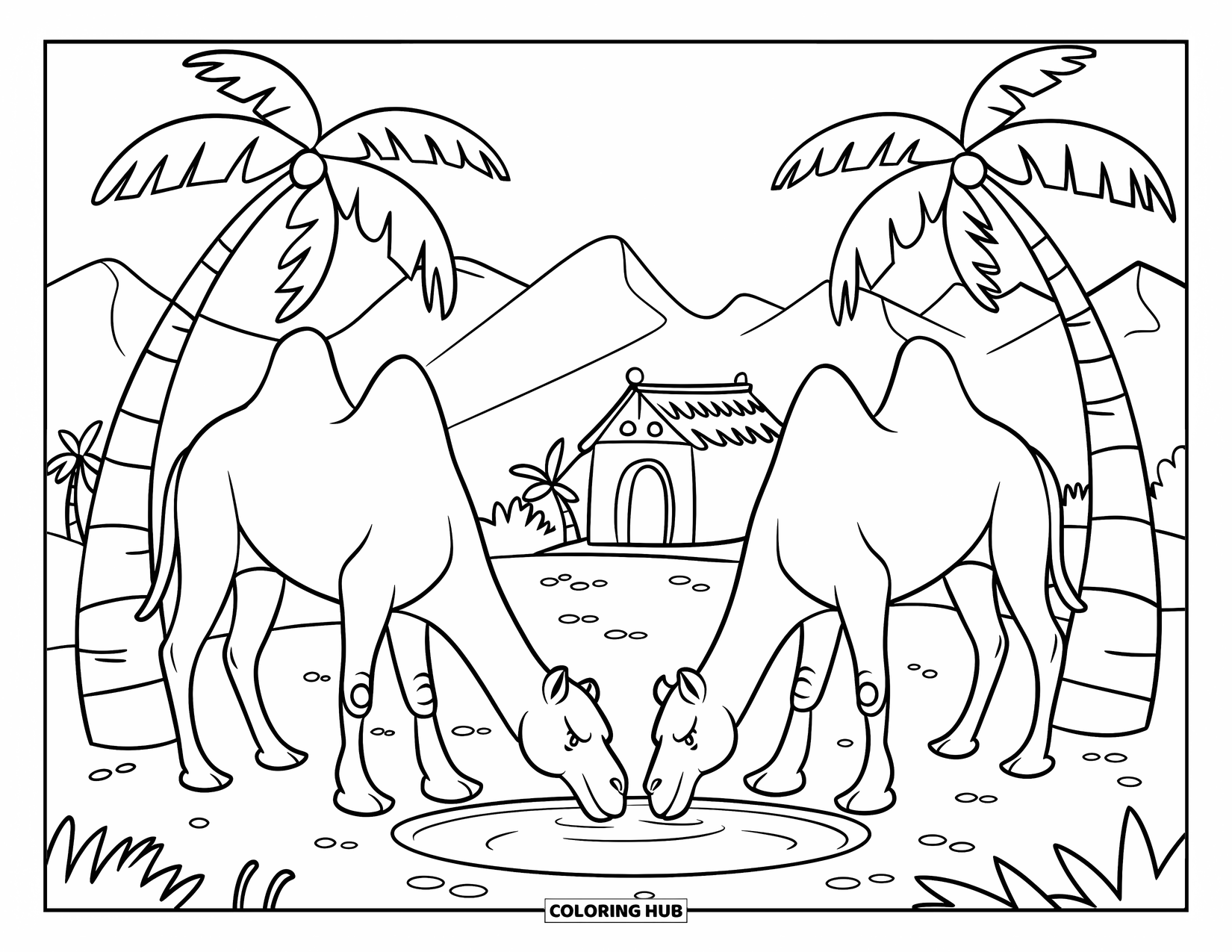 Camel Coloring Page for Kids: Two camels drinking from an oasis with palm trees and a hut nearby