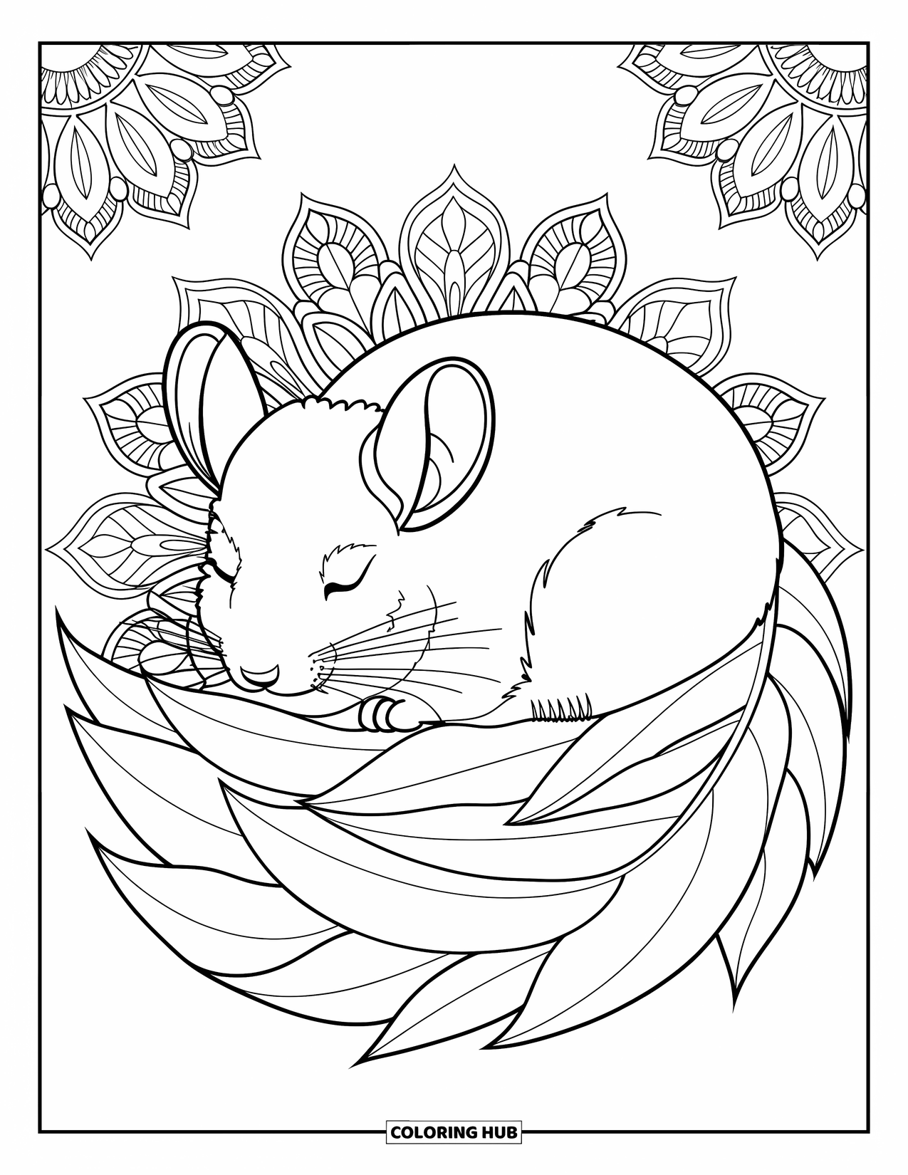 Chinchilla Coloring Page for Adults: A chinchilla curls in leafy bedding with floral mandalas woven gently behind