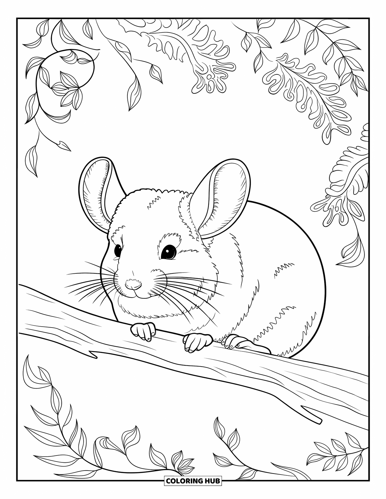 Chinchilla Coloring Page for Adults: A chinchilla relaxes on a branch surrounded by floral vines and bold leafy patterns