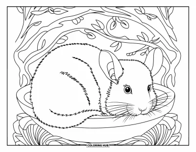 Coloriage de chinchilla pour adultes : Un chinchilla au repos dans un bol entouré de brindilles détaillées et de fleurs épanouies