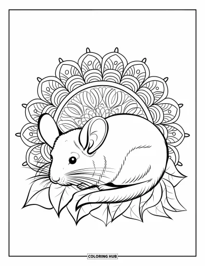 Coloriage de chinchilla pour adultes : Un chinchilla au repos dans un lit de feuilles avec des mandalas floraux qui tourbillonnent doucement en arrière-plan