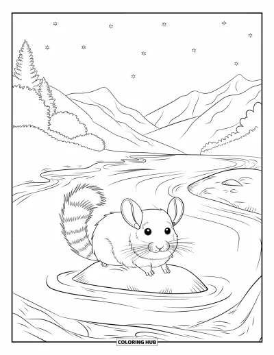 Coloriage de chinchilla pour adultes : Un chinchilla se repose sur un rocher au bord d'une rivière entouré d'arbres, d'étoiles et de vues paisibles sur les montagnes