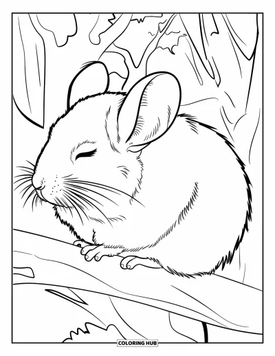 Coloriage de chinchilla pour adultes : Un chinchilla assis sur une branche les yeux fermés dans une scène forestière silencieuse