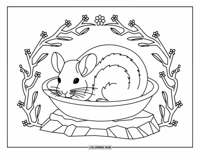Coloriage de chinchilla pour adultes : Un chinchilla paisible lové dans un bol avec des brindilles fleuries composant une scène apaisante