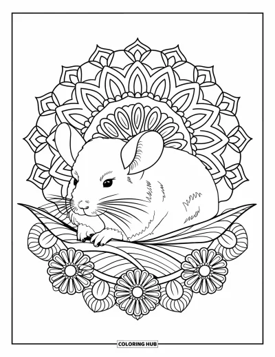 Coloriage de chinchilla pour adultes : Un chinchilla serein assis dans des feuilles entouré de mandalas floraux détaillés et de formes douces