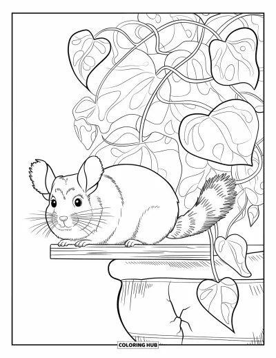 Coloriage de chinchilla pour adultes : Un chinchilla aux grands yeux sur un perchoir avec des plantes en pot et des détails en céramique craquelée