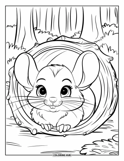 Coloriage de chinchilla pour enfants : Un bébé chinchilla pointe le nez depuis une cachette ronde faite de brindilles dans la forêt