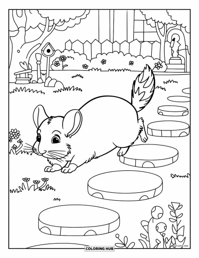 Coloriage de chinchilla pour enfants : Un chinchilla bondit sur des pierres dans un jardin fleuri avec des fleurs et un nichoir