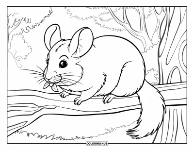 Coloriage de chinchilla pour enfants : Un chinchilla mâchouille une feuille perché sur une grosse branche dans la forêt