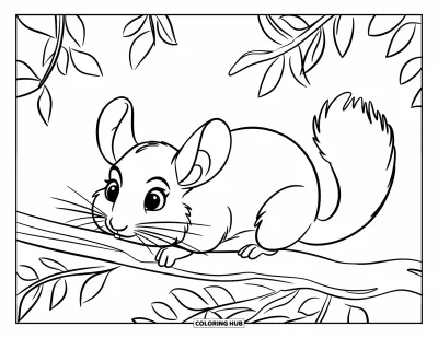 Coloriage de chinchilla pour enfants : Un chinchilla grignote une branche feuillue avec des yeux curieux