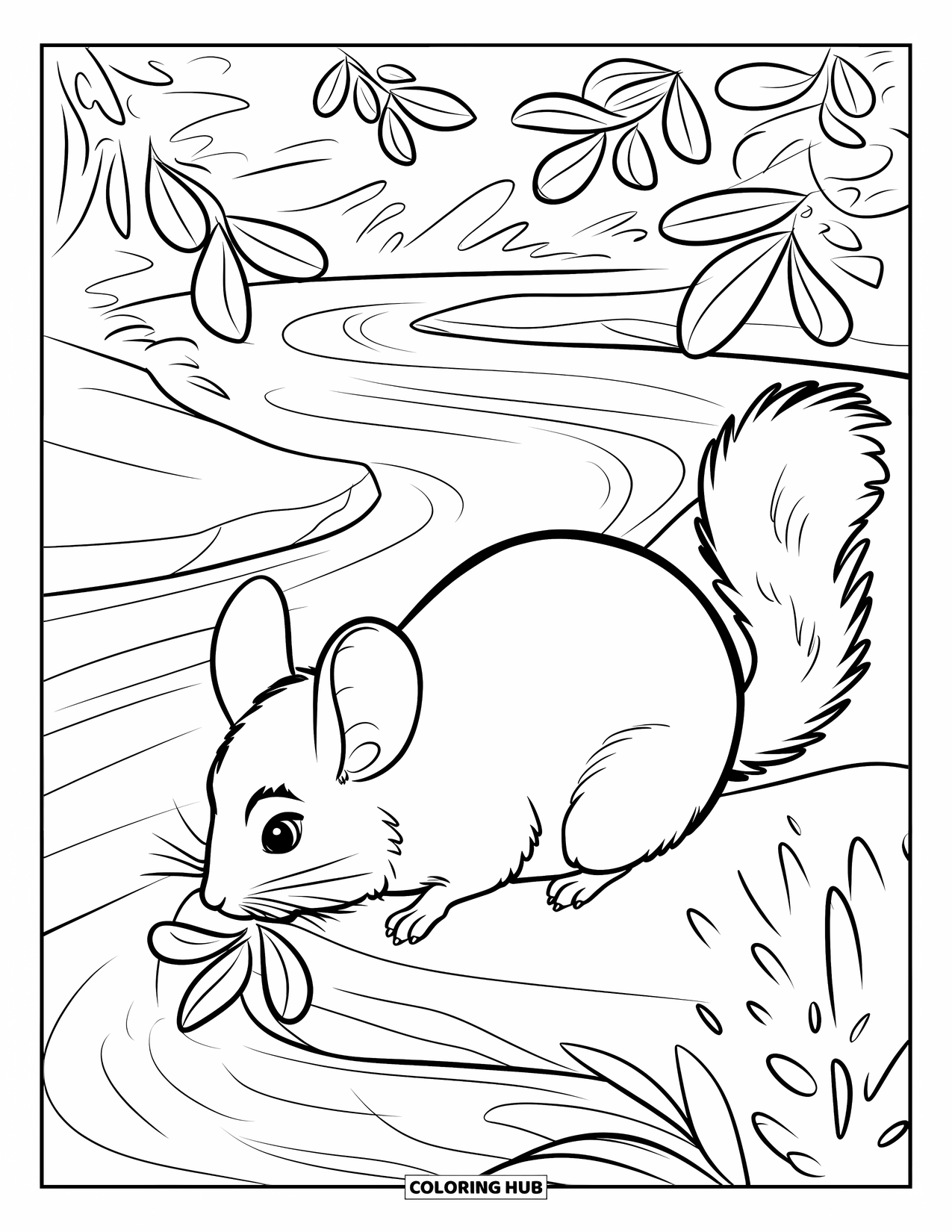Chinchilla Coloring Page for Kids: Chinchilla rests on a rock by a gentle stream and lush green plants