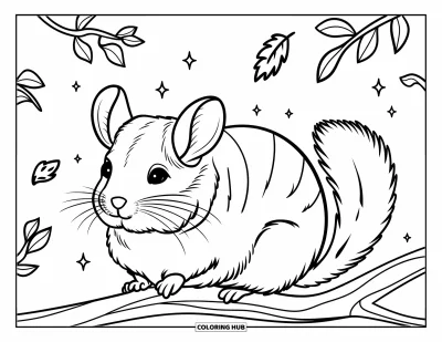 90+ Coloriages de chinchilla pour enfants et adultes (Gratuits)