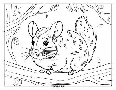 Coloriage de chinchilla pour enfants : Un chinchilla assis sur une branche avec des brindilles emmêlées dans sa fourrure dans une forêt silencieuse