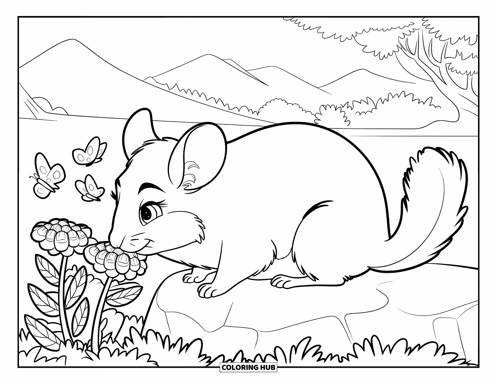 Chinchilla Coloring Page for Kids: Chinchilla sits on a rock, smiling at butterflies and blooming flowers