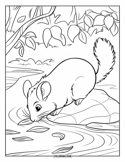 Coloriage de chinchilla pour enfants : Un chinchilla assis sur un rocher au bord d'un ruisseau entouré de feuilles et d'arbres paisibles