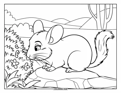 Coloriage de chinchilla pour enfants : Un chinchilla renifle des fleurs avec le sourire dans un paisible pré verdoyant