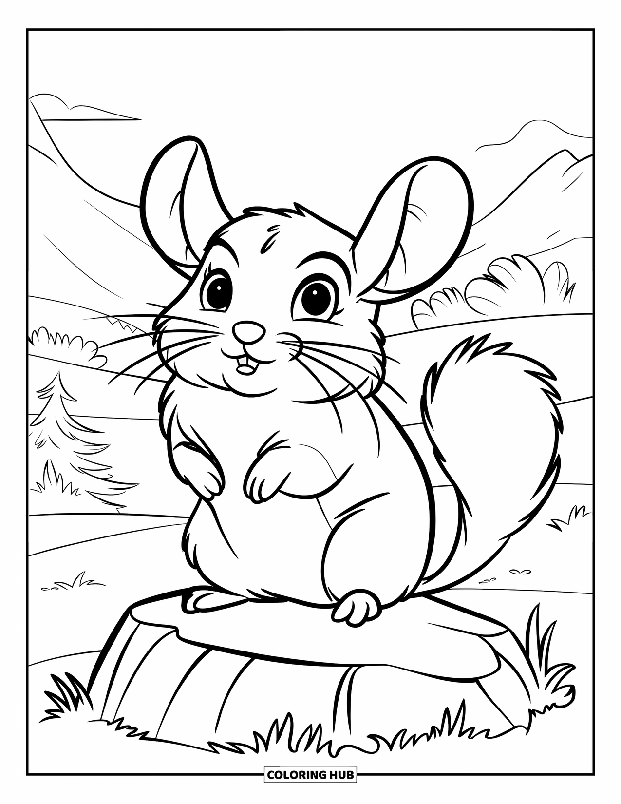 Chinchilla Coloring Page for Kids: Chinchilla with big ears and a fluffy tail sits upright on a rock in the wild