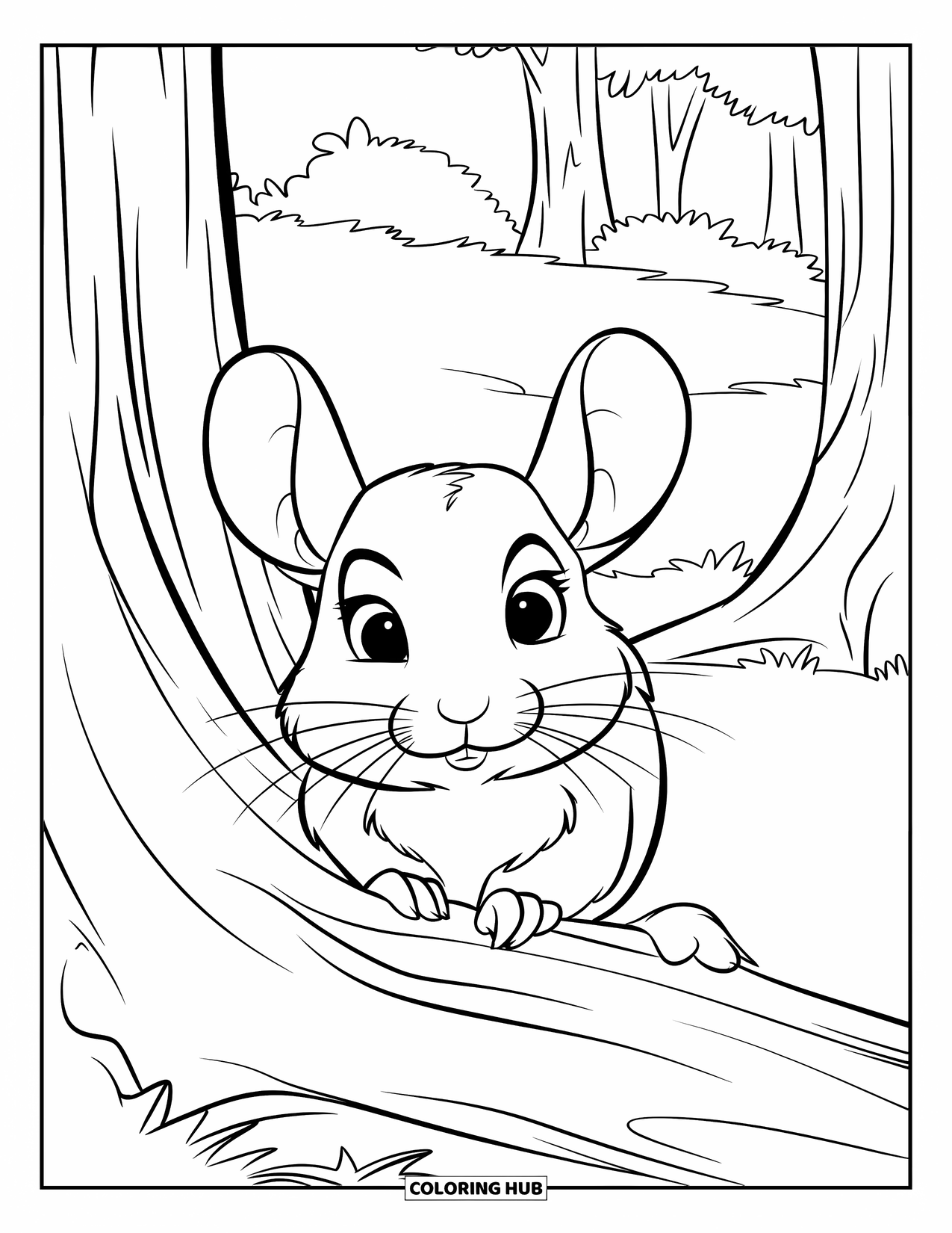 Chinchilla Coloring Page for Kids: Chinchilla with big eyes hides behind a grooved tree in a deep forest