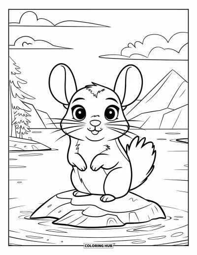 Coloriage de chinchilla pour enfants : Un chinchilla à la queue touffue est assis sur un rocher entouré de petites îles sur un lac