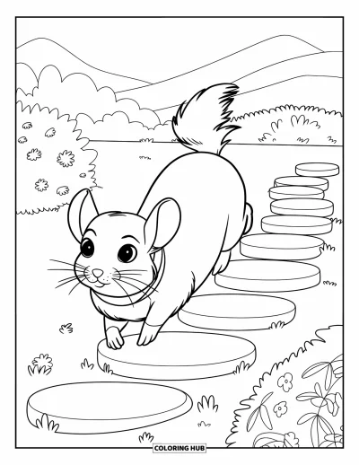 Coloriage de chinchilla pour enfants : Un chinchilla aux grands yeux saute sur des pierres vers une plateforme paisible
