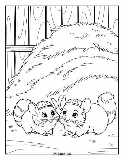 Coloriage de chinchilla pour enfants : Des chinchillas portant des chapeaux rayés jouent joyeusement près d'une meule de foin touffue
