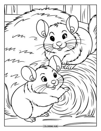 Coloriage de chinchilla pour enfants : Des chinchillas potelés jouent près d'un tas de foin devant une structure en bois