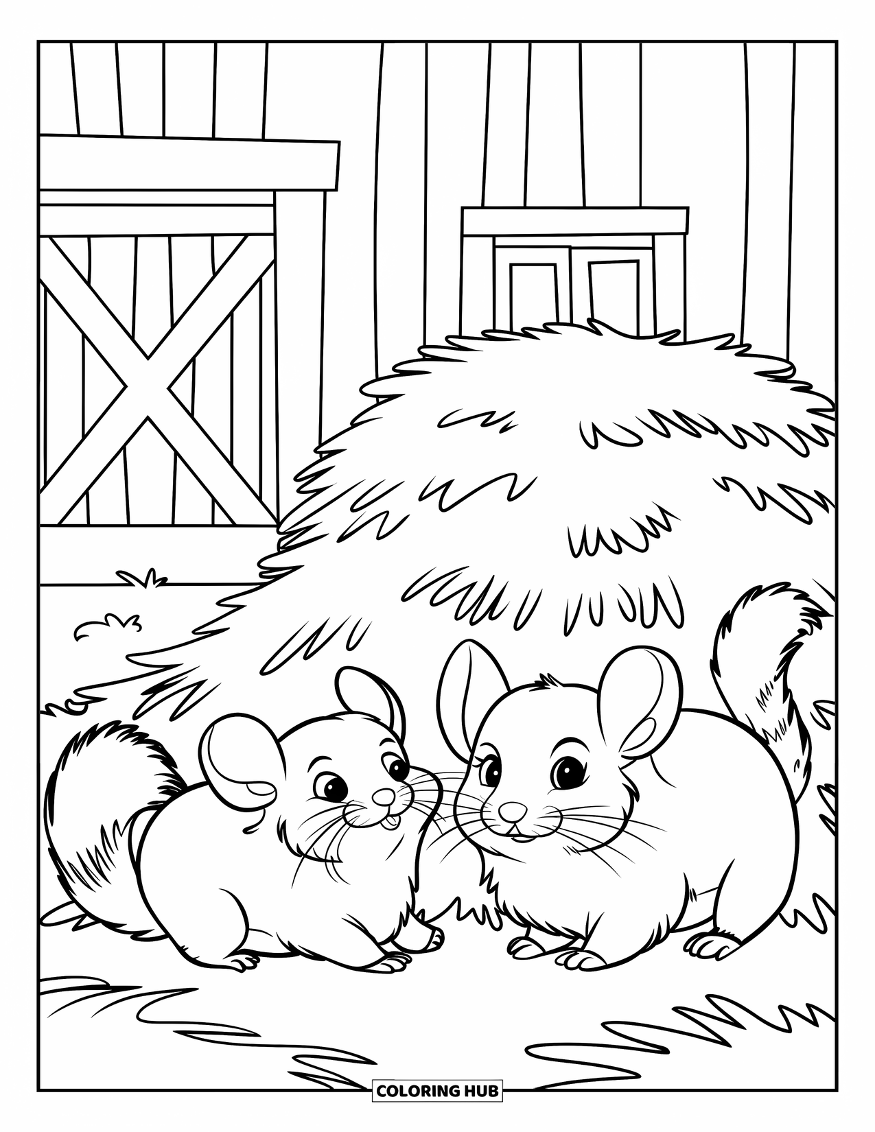 Chinchilla Coloring Page for Kids: Playful chinchillas explore a hay pile near a barn and fence