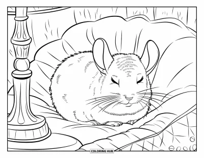 Coloriage de chinchilla pour enfants : Un chinchilla endormi se love près d'une lampe vintage dans un coin douillet
