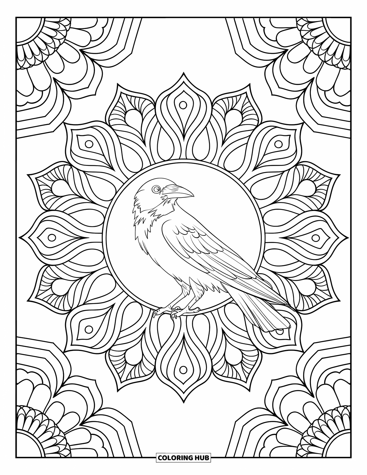 Crow Coloring Page for Adults: A calm crow rests at the center of a floral mandala with detailed designs