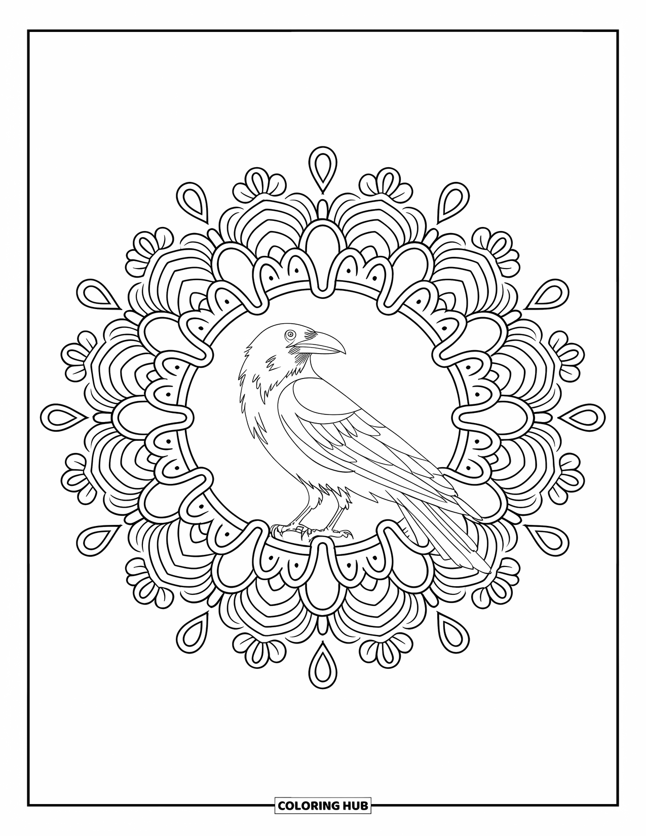 Crow Coloring Page for Adults: A crow sits in the center of a mandala with detailed floral patterns all around
