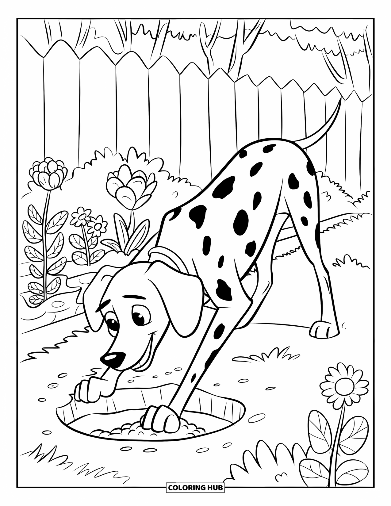 Dalmatian Coloring Page for Kids: A dalmatian digs a hole near a flower bed full of blooms