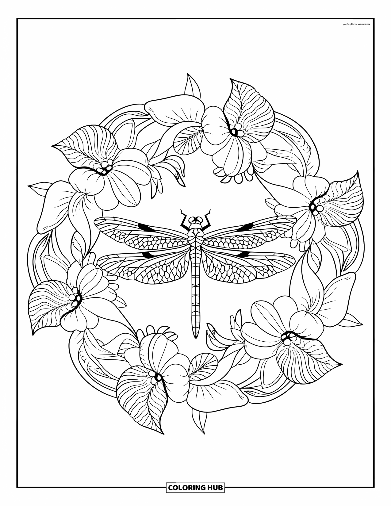 Dragonfly Coloring Page for Adults: A dragonfly rests in the middle of a leafy and floral circular mandala