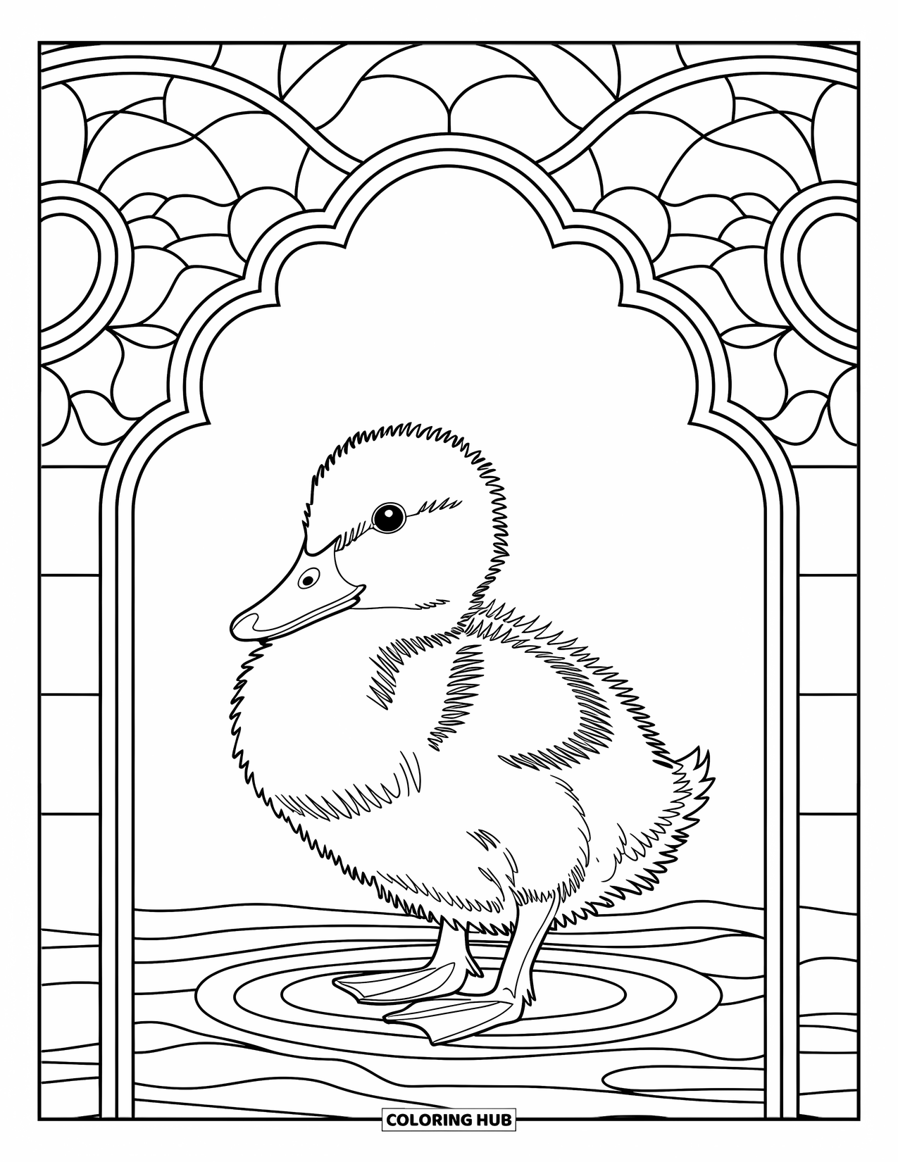 Duckling Coloring Page for Adults: Duckling framed by ornate stained glass water ripple patterns