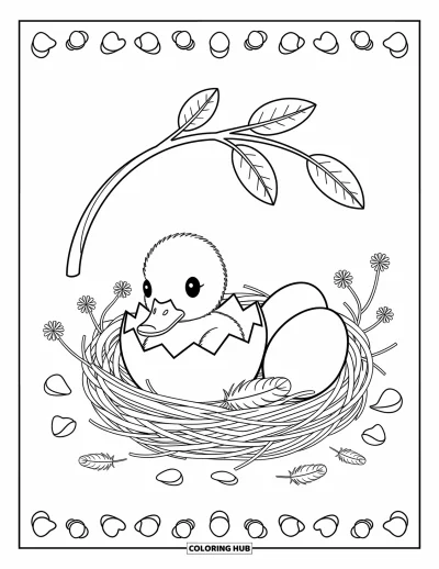 Desenho de patinhos para colorir para adultos: Patinho saindo da casca em um ninho com flores e penas