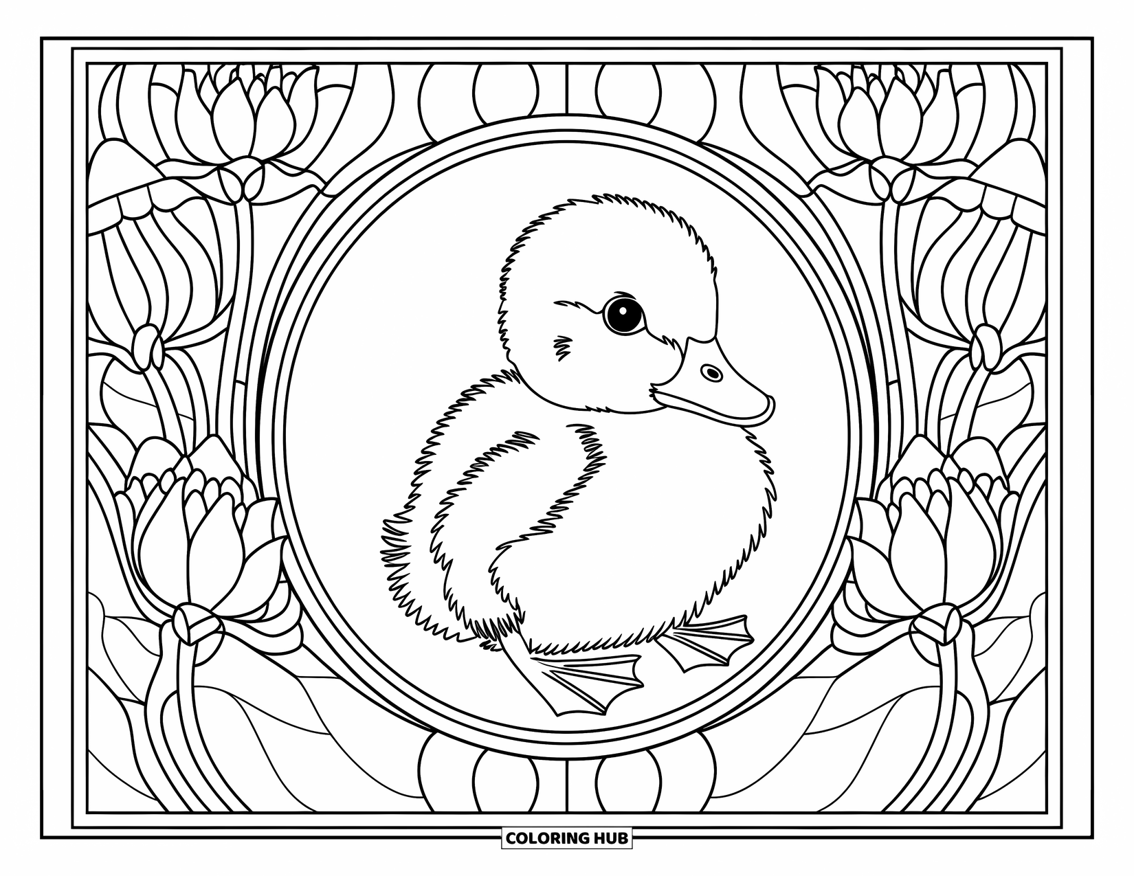 Duckling Coloring Page for Adults: Duckling inside a stained glass frame of blooming lotuses