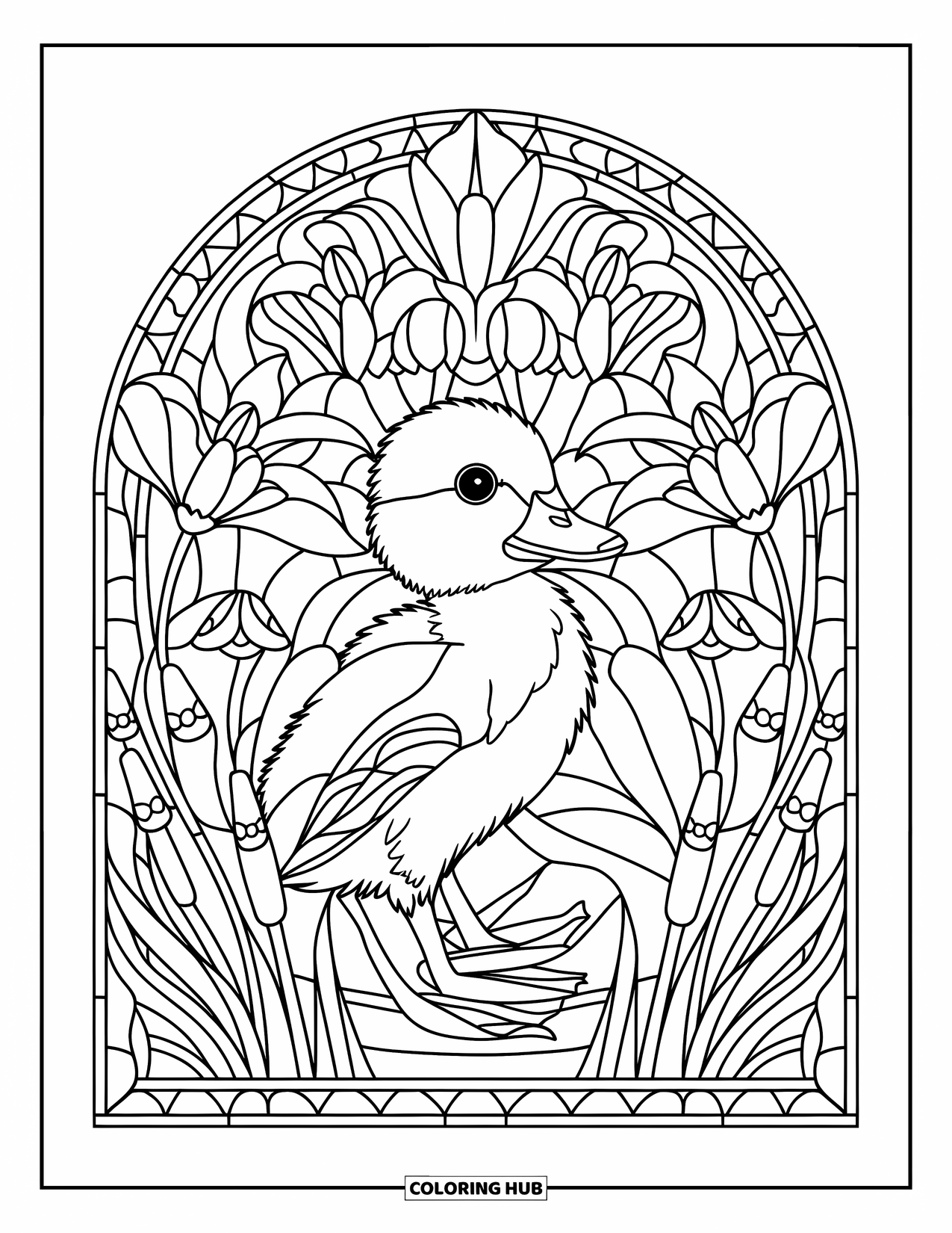 Duckling Coloring Page for Adults: Duckling inside an intricate stained glass design of lilies and cattails