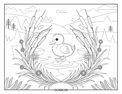 Desenho de patinhos para colorir para adultos: Patinho em uma pedra cercado por juncos e flores silvestres