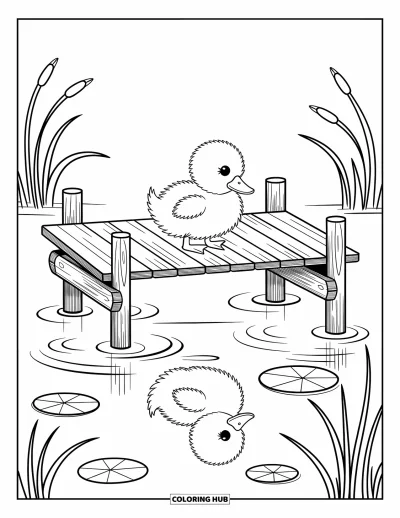 Desenho de patinhos para colorir para adultos: Patinho em um píer observando ondulações com vitórias-régias por perto
