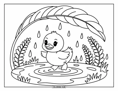 Desenho de patinhos para colorir para adultos: Patinho espirrando em uma poça sob uma folha, rodeado de samambaias e grama