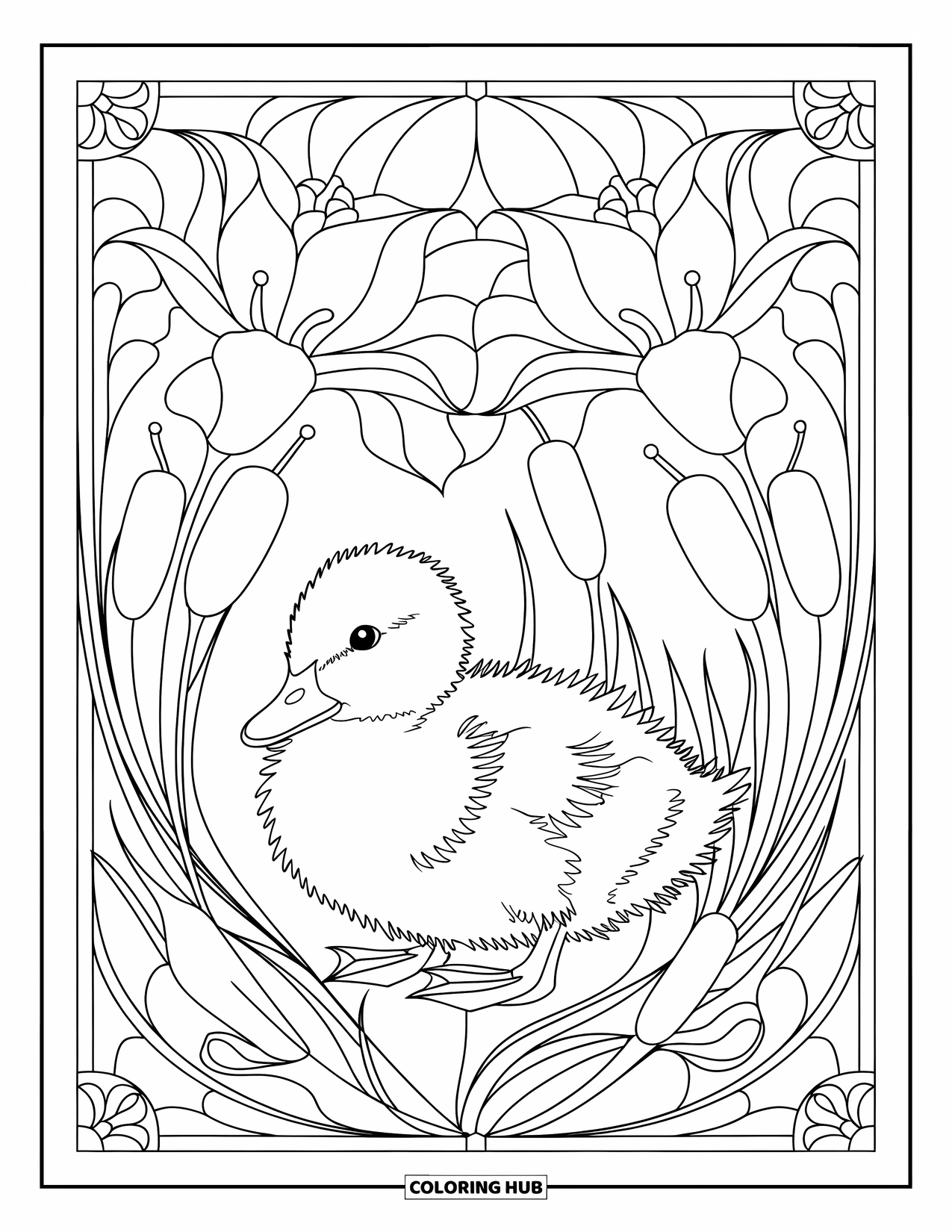 Duckling Coloring Page for Adults: Duckling surrounded by stained glass lilies and cattails