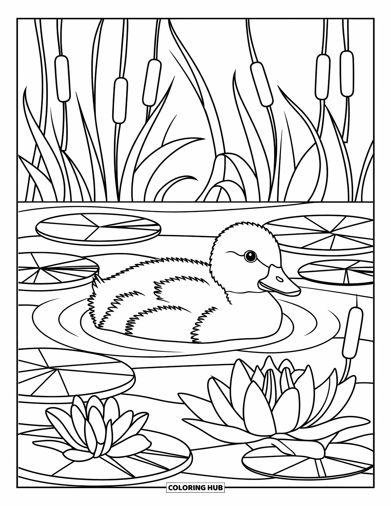 Duckling Coloring Page for Adults: Duckling swimming among lilies and cattails in a stained glass frame