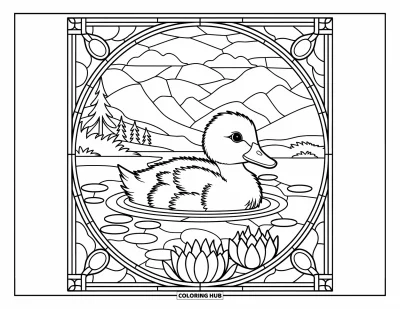 Desenho de patinhos para colorir para adultos: Patinho nadando em uma lagoa emoldurada por lótus floridos